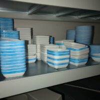 Lot de vaisselle diverse dont soucoupes, sous tasses, ramequins, assiettes, bacs plastiques et plateaux en nylon Bourgeat, carafes, salières poivrières, cocottes en plastique... – Image 6
