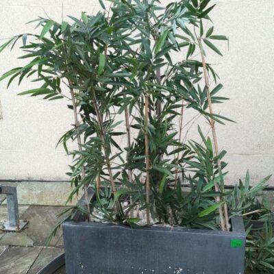Jardinière en plastique gris avec bambous artificiels. 50 x 94 x 48 cm. 4 unités. Vendu à l’unité avec faculté de réunion. Localisation : 32 rue de Monceau – 75008 Paris