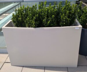 Jardinière rectangulaire de marque VONDOM en polyéthylène gris clair. 80 x 120 x 30 cm. Vendu avec sa plante naturelle. 2 unités. Vendu à l'unité avec faculté de réunion. Localisation : 7ème terrasse. (Attention très lourd)