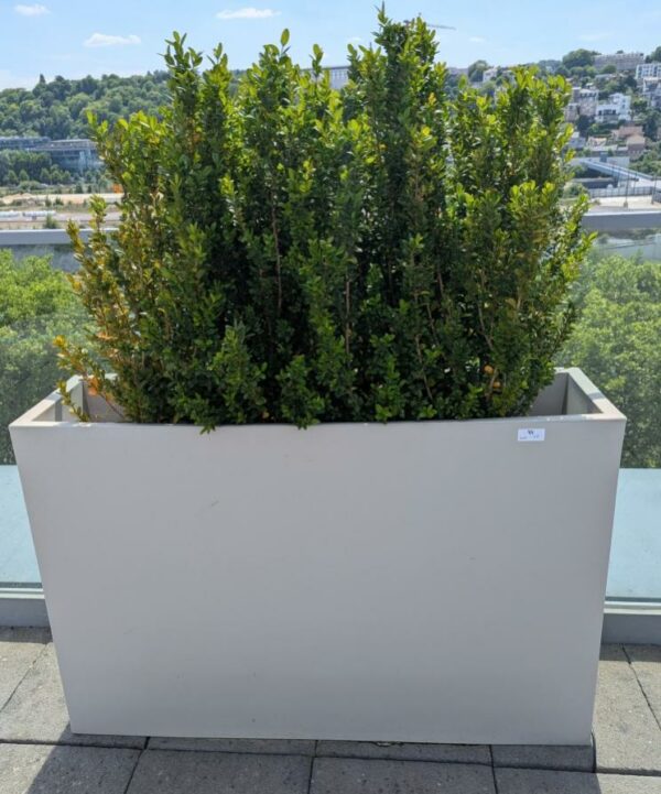 Jardinière rectangulaire de marque VONDOM en polyéthylène gris clair. 80 x 120 x 30 cm. Vendu avec sa plante naturelle. 4 unités. Vendu à l'unité avec faculté de réunion. Localisation : 7ème terrasse. (Attention très lourd)