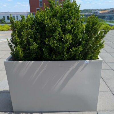 Jardinière rectangulaire de marque VONDOM en polyéthylène gris clair. 80 x 120 x 30 cm. Vendu avec sa plante naturelle. 4 unités. Vendu à l’unité avec faculté de réunion. Localisation : 7ème terrasse. (Attention très lourd)