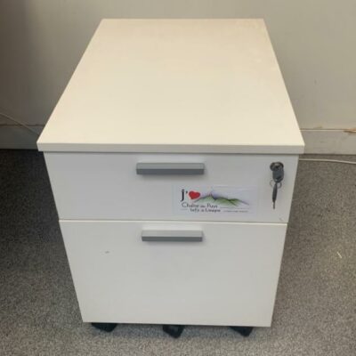 Caisson  sur roulettes en bois blanc ou gris, deux tiroirs.
14 Unités, vendu avec faculté de réunion.
55 x 42 x 55 cm.
Localisation : 6 rue Duret – 75116 Paris.
(biblio -2, repro -2, Es open space, Es 15, Es 14, 1-35, 1-26, 1-30, 1-22, open space 1er et 2e, 519)